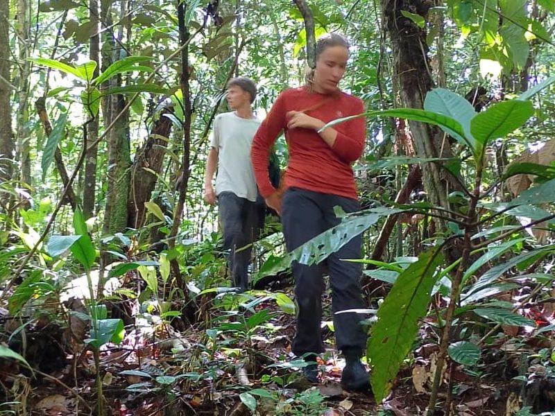 Passeios Turísticos em Novo Airão