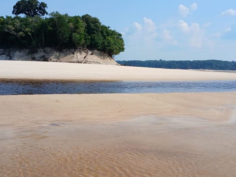 Passeios Turísticos em Novo Airão